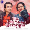 About Tere Ishq Mein Deewana Song